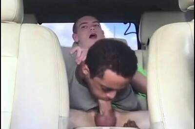 Backseat Fun on vidgratis.com