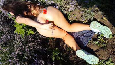 In Lavender Field # Pee On Flowers # Butt Plug Flashing In Nature on vidgratis.com