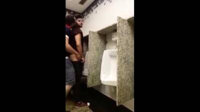 Breeding a slut in a Public Bathroom on vidgratis.com