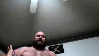 Big hairy Bear on vidgratis.com