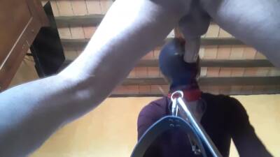 Tied To A Machine Masked And Hooded She Has To Suck A Big Dick on vidgratis.com