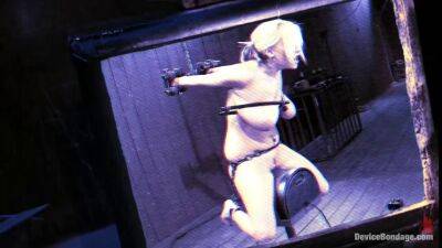 BDSM and sybian didlo for busty blonde haley cummings on vidgratis.com