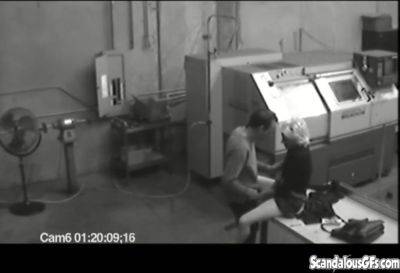 Co workers masturbating in horny office warehouse on vidgratis.com