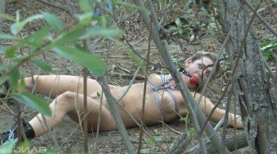 Tied up chick Bailey Blue gets her pussy fucked and jizzed in the forest on vidgratis.com