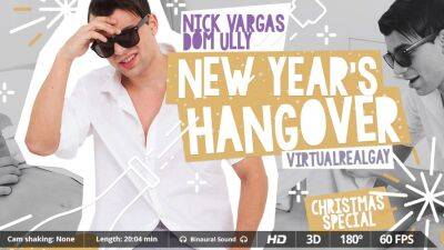 New Year's hangover - Czech Republic on vidgratis.com