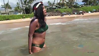 Yara Skye: Black Beauty's Intimate Encounter with a Sea Turtle on Beach on vidgratis.com