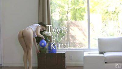 Two Of A Kind - S21:E8 on vidgratis.com